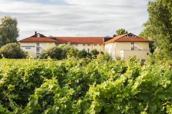 Steigenberger Hotel Deidesheim