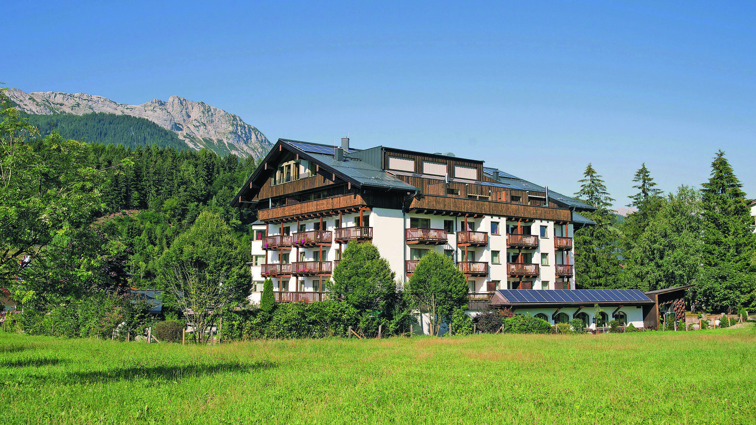 LEBE FREI Hotel Der Löwe