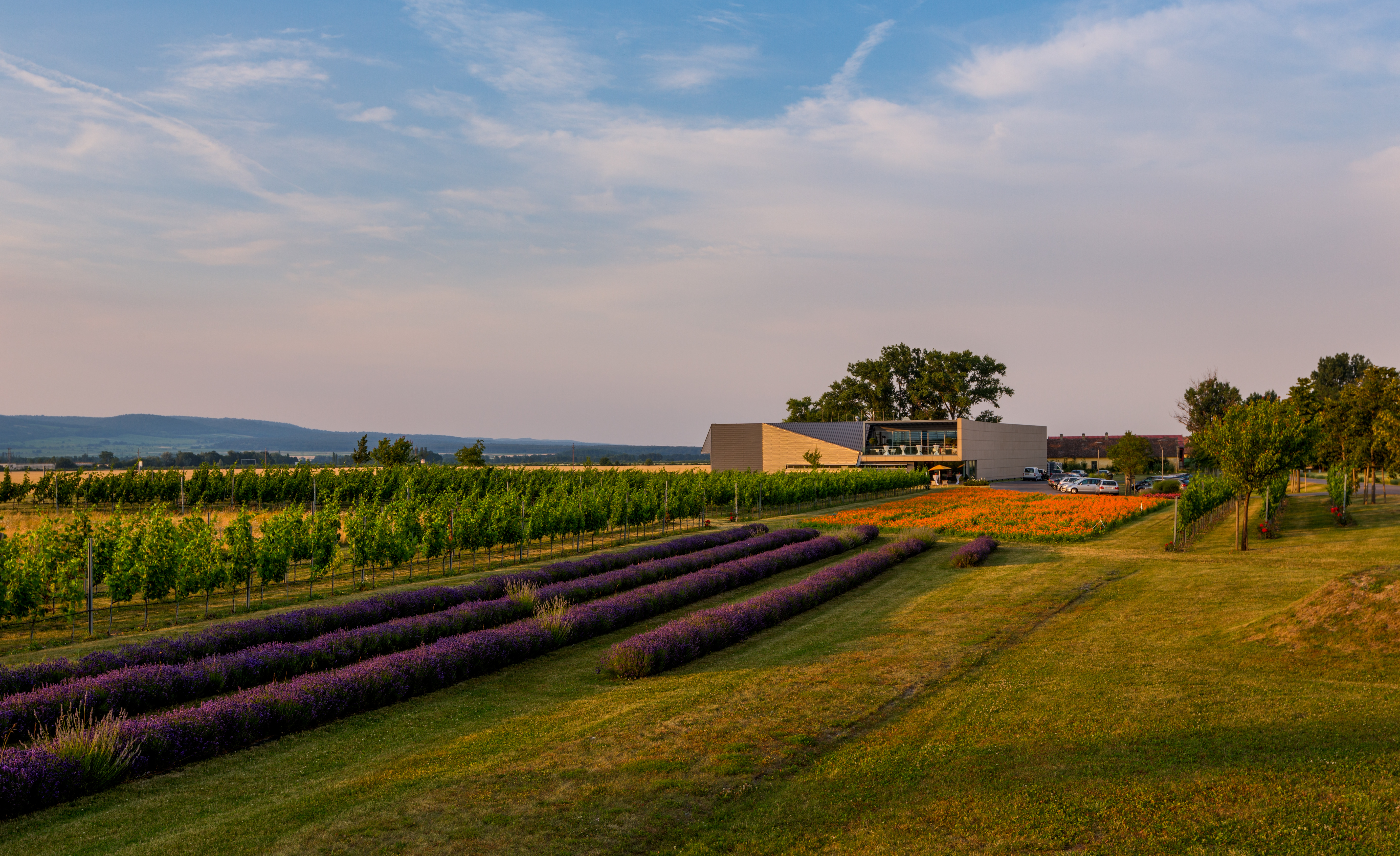 Kalandahaus beim Weingut Esterházy