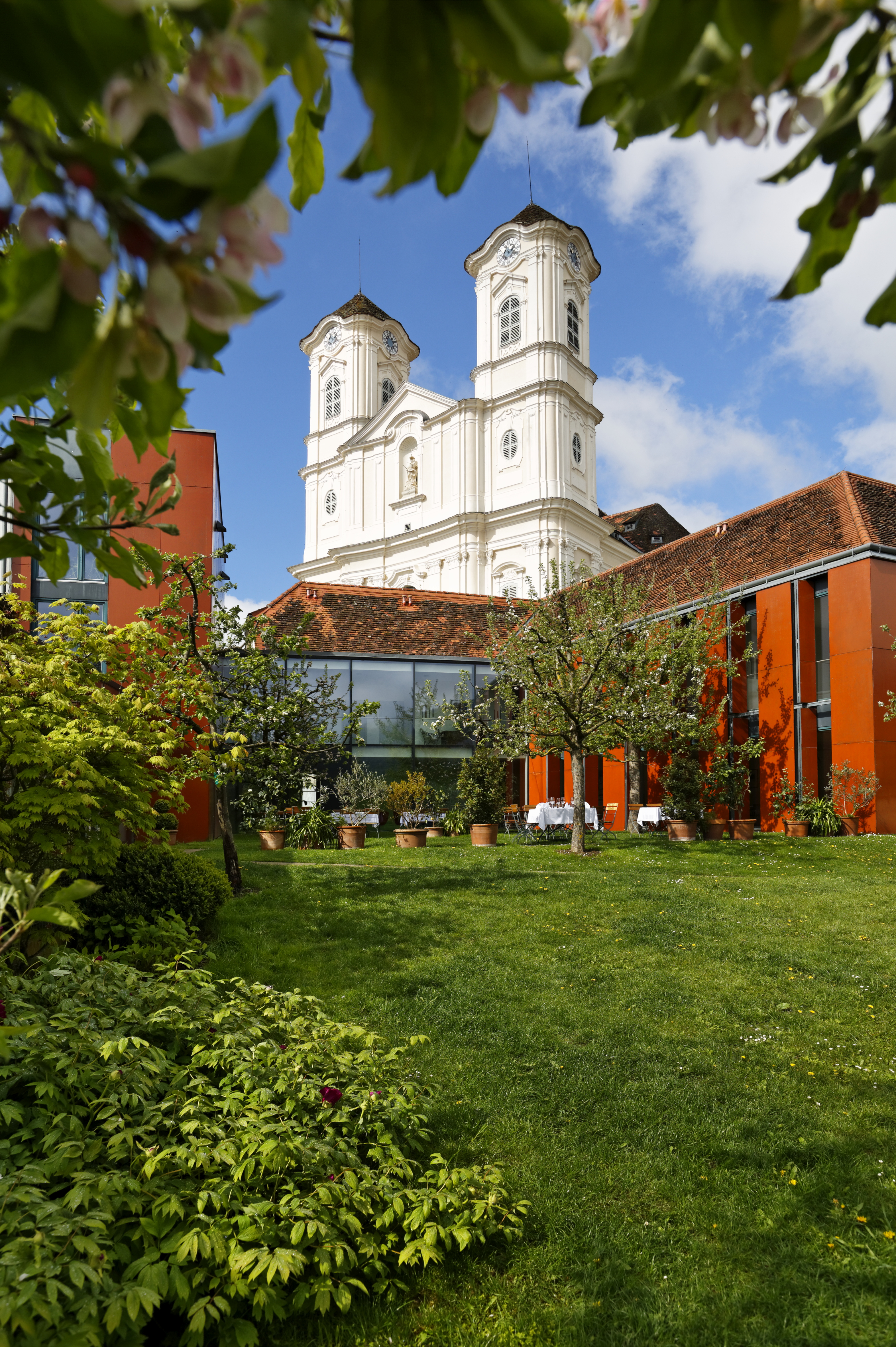 DER EDERER